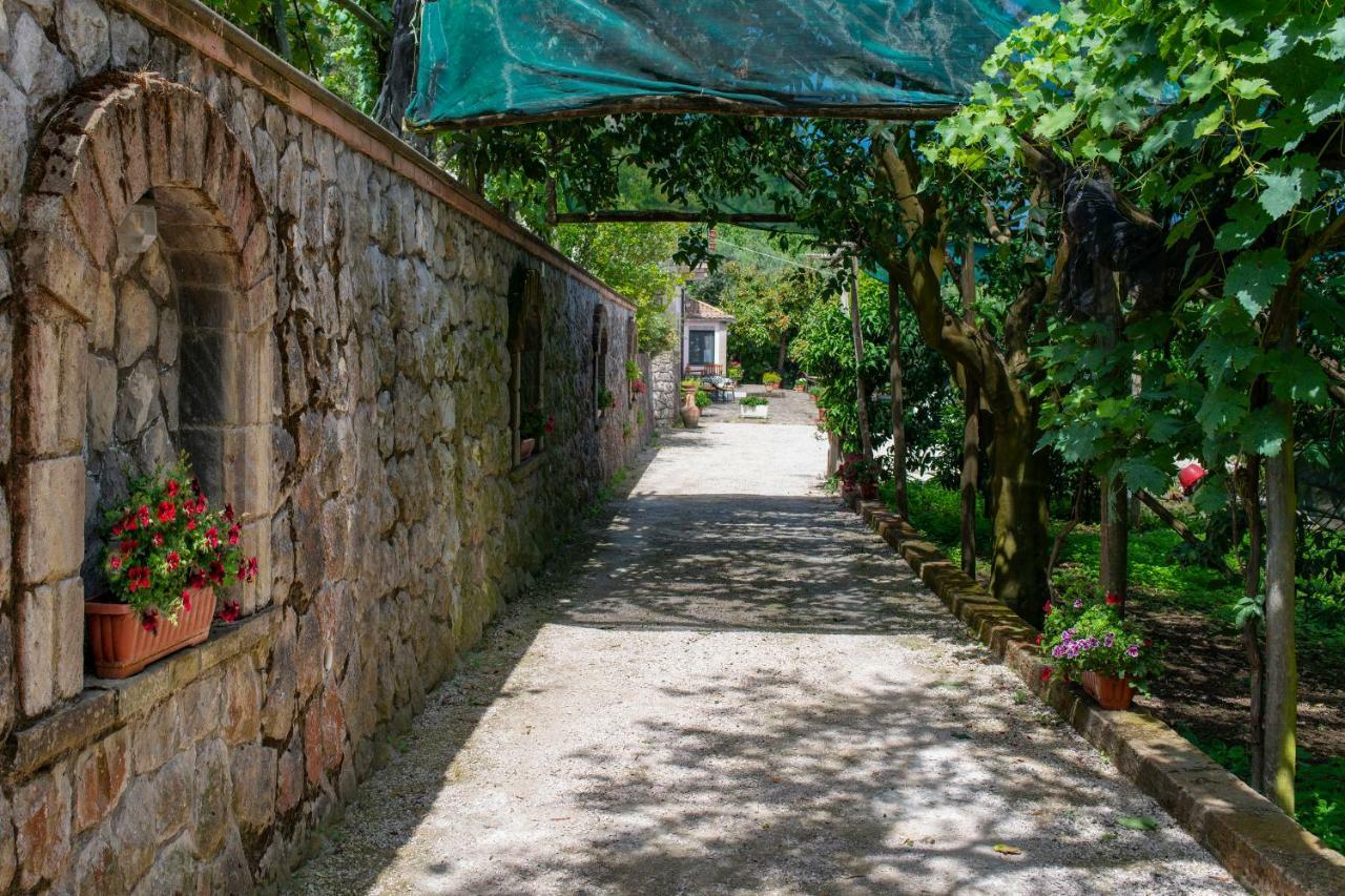 Il Casale Sorrento Hotel Exterior foto